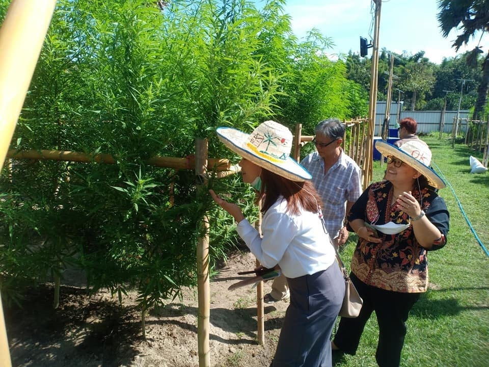 Pethlanna Organic Farm