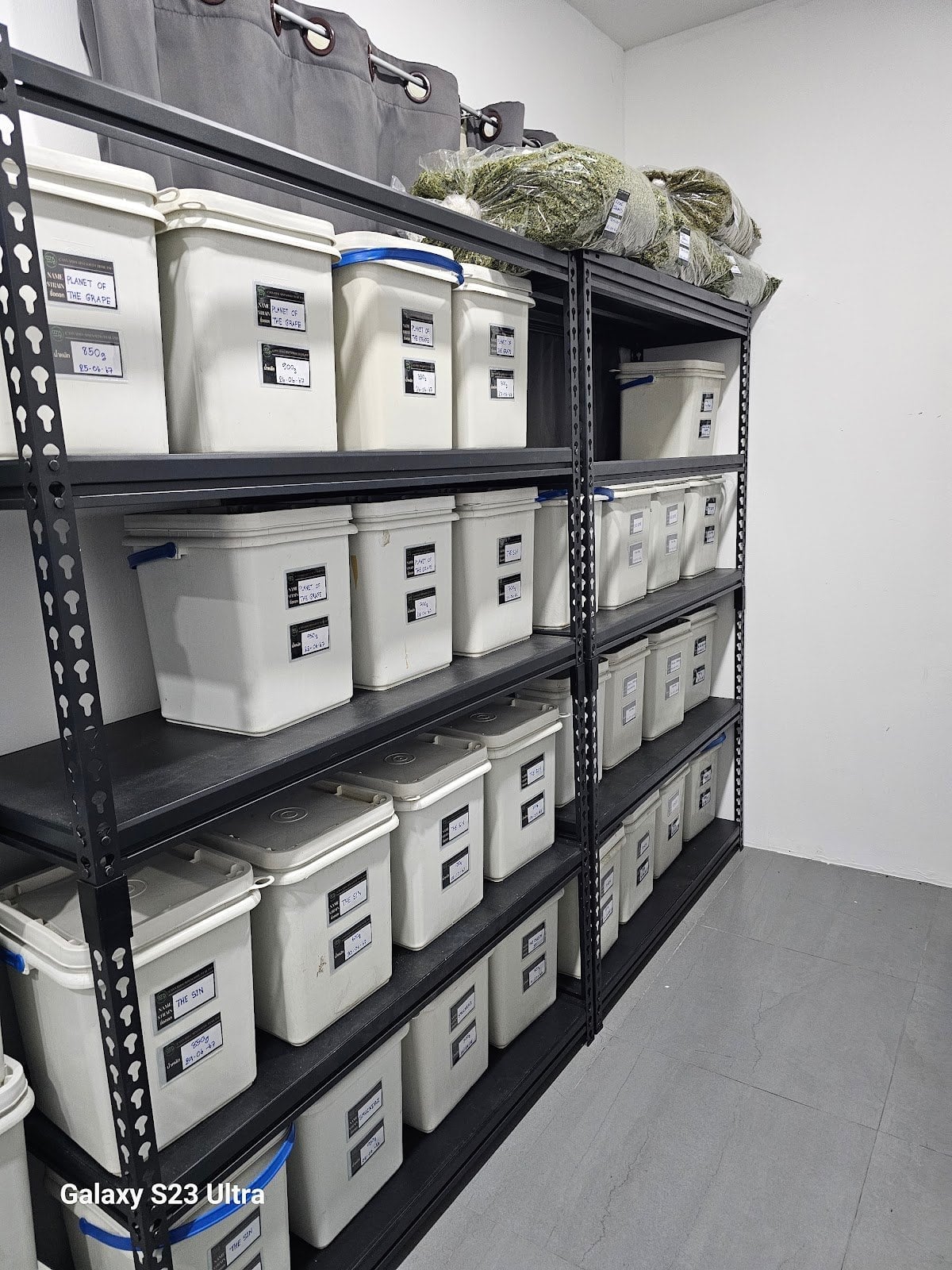 Cannabis Farm North Ccmof