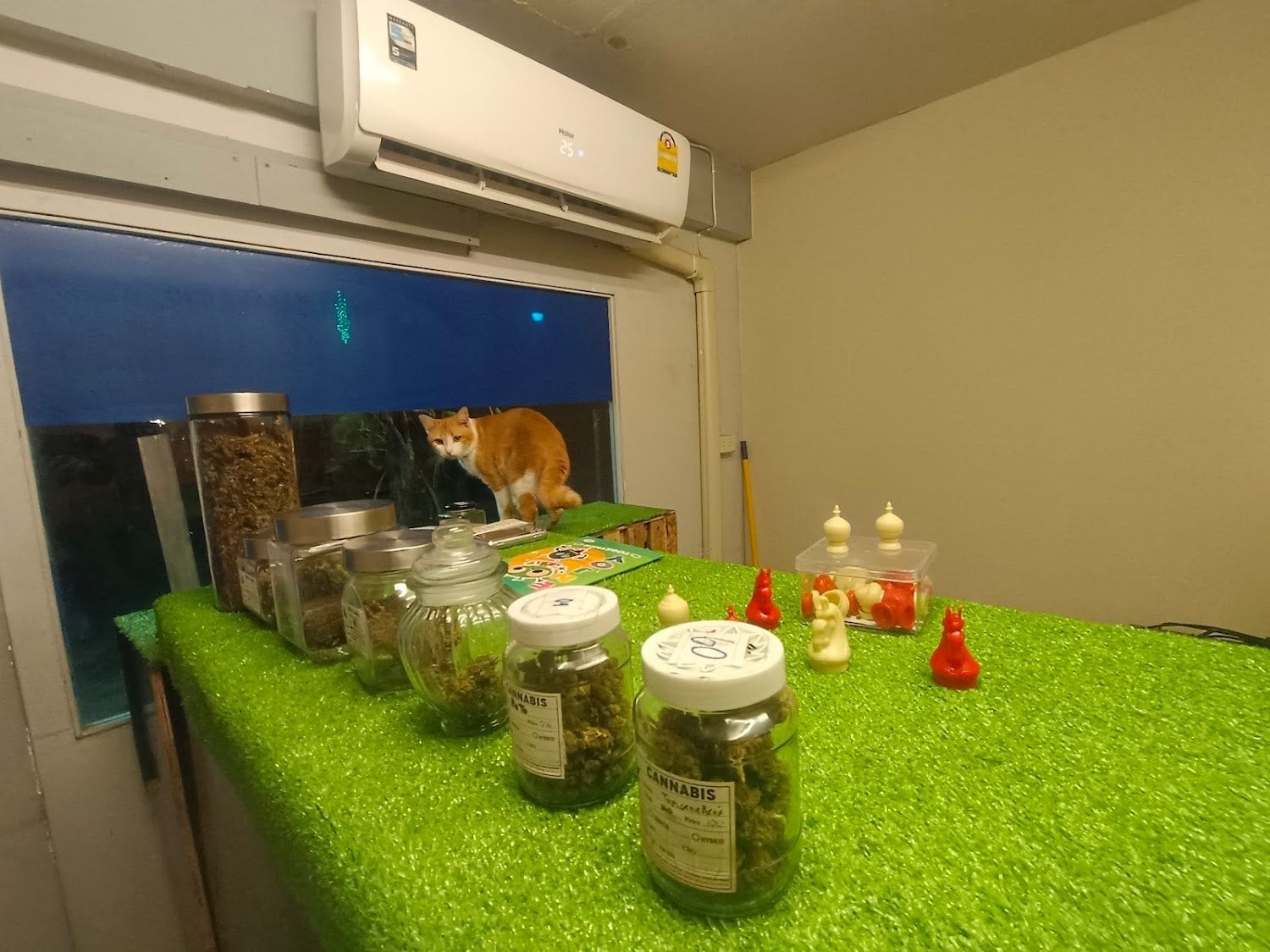 Nighthowit420