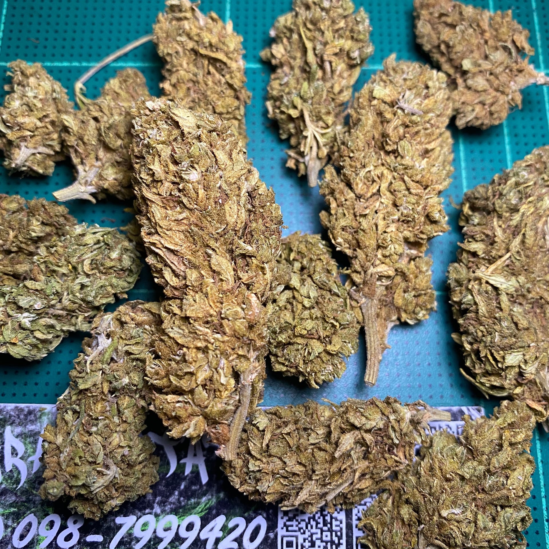 Grassstation