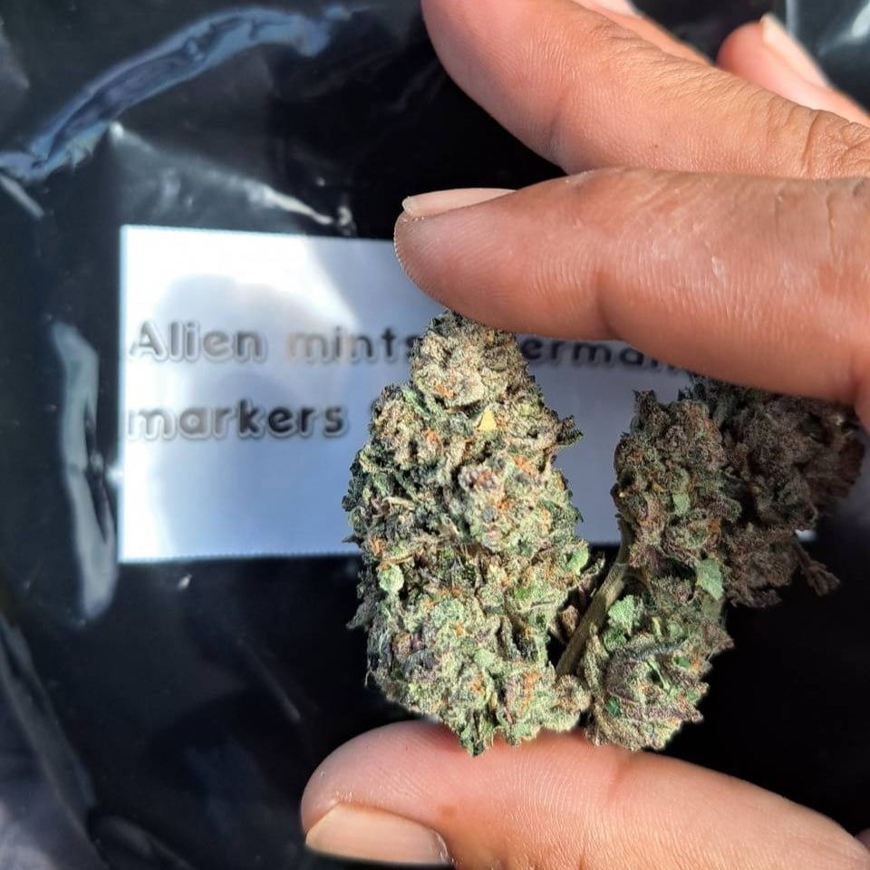 Dharmajati420