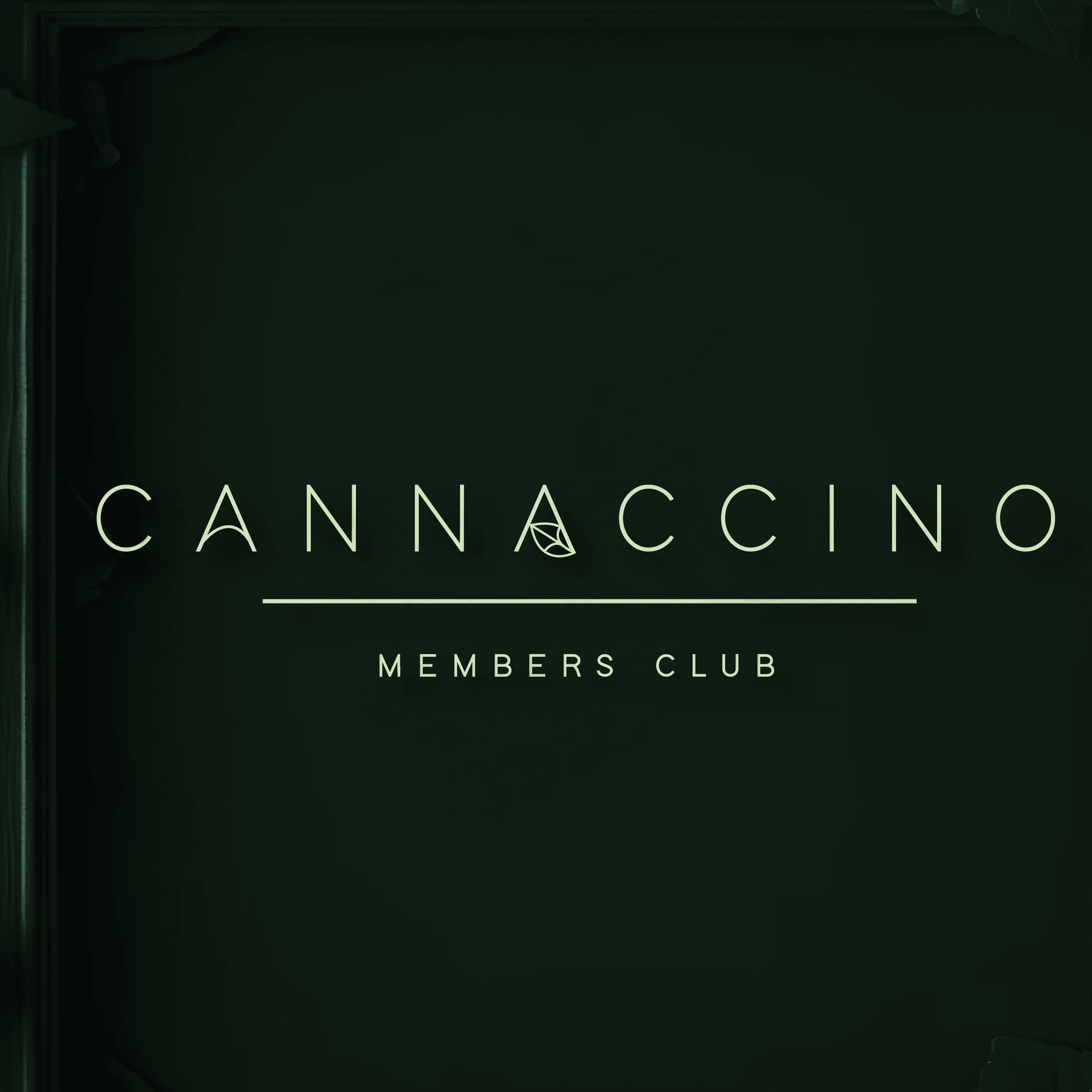 Cannaccino