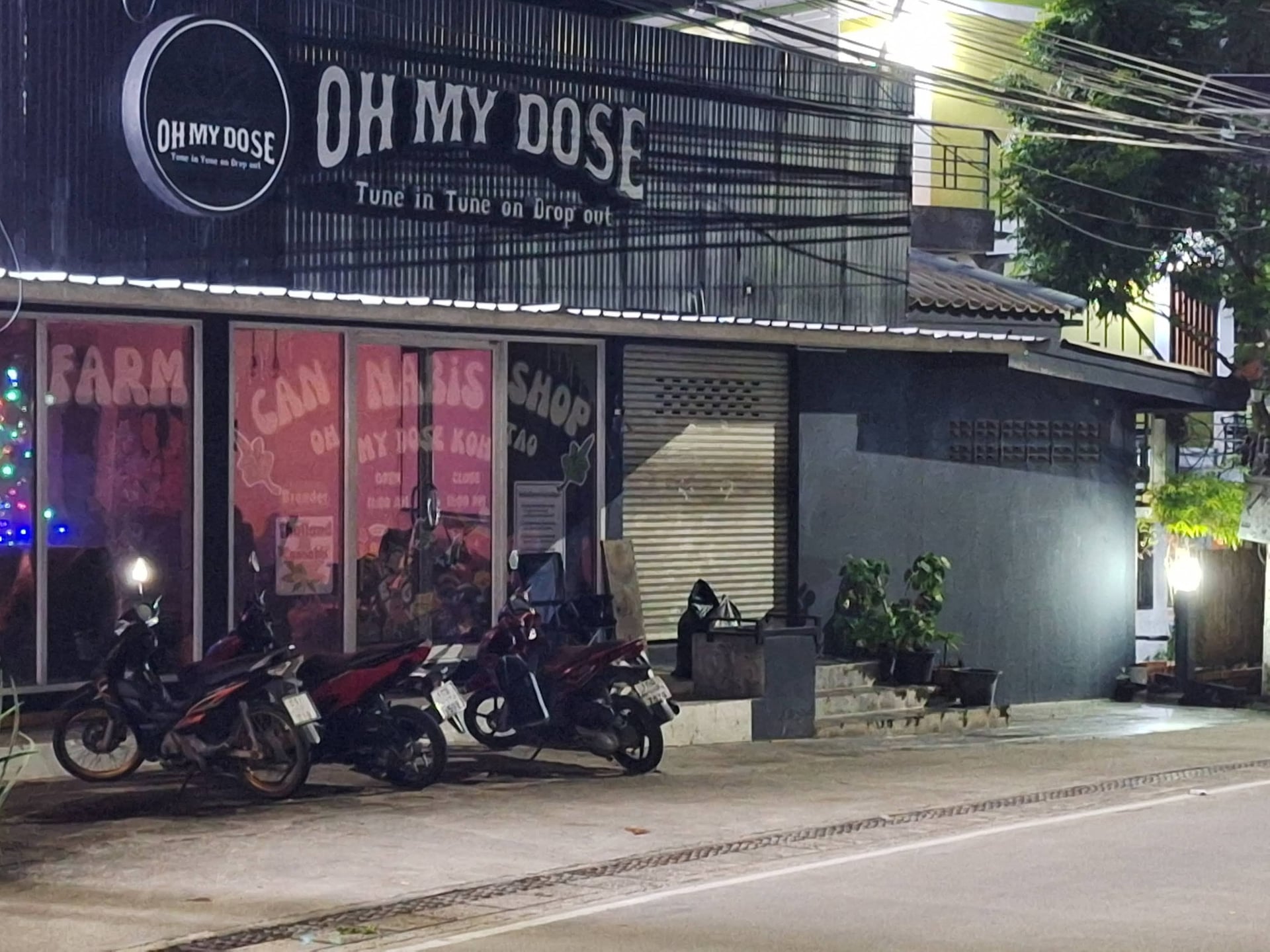 Oh My Dose Koh Tao