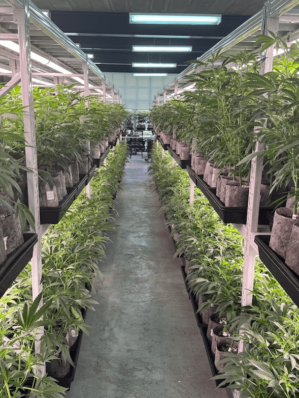 Hidden Valley Genetics