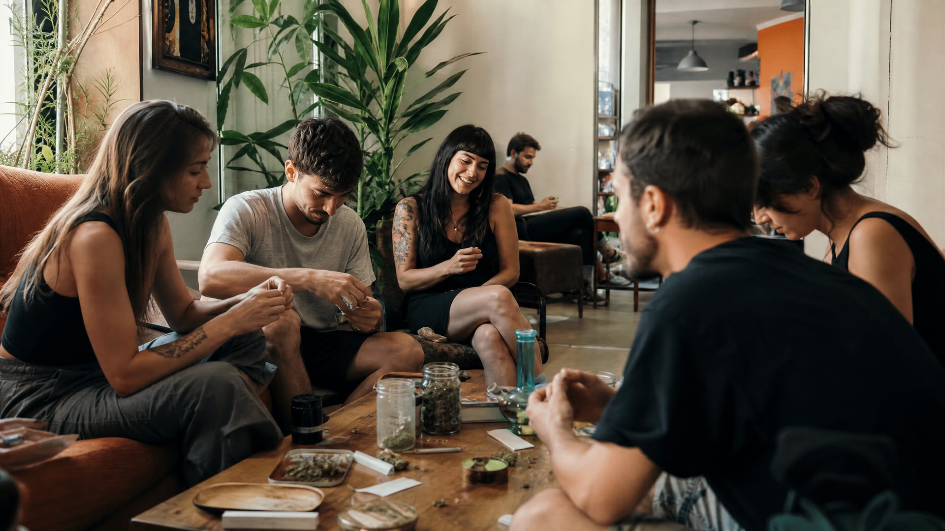 Alicante cannabis social club lounge with members sharing a relaxed table
