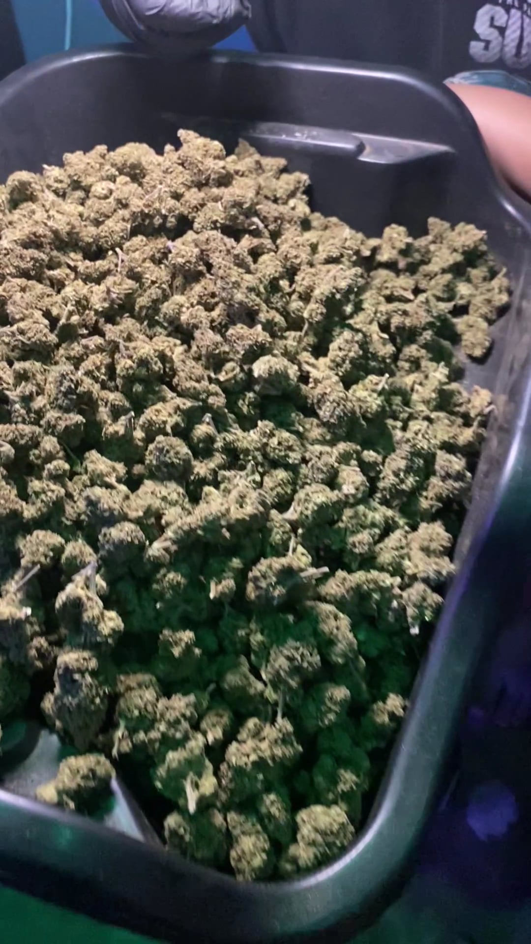 Onepercent.Organic