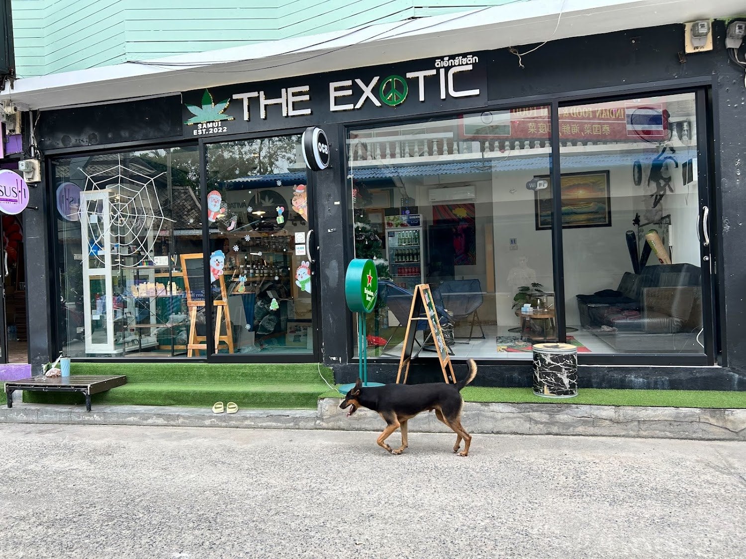 The Exotic Cannabis