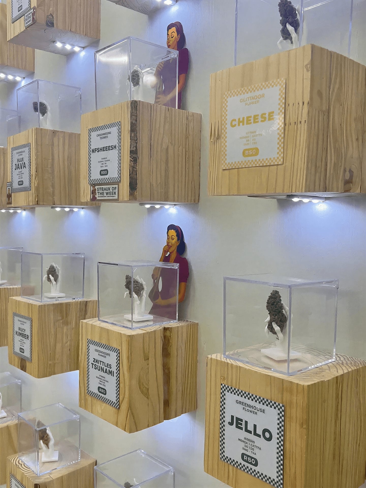 Mary’S Cannabis Co. – Bromhof