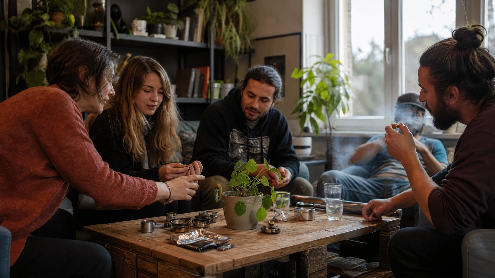 Swiss directory overview with cannabis social club context and city streets