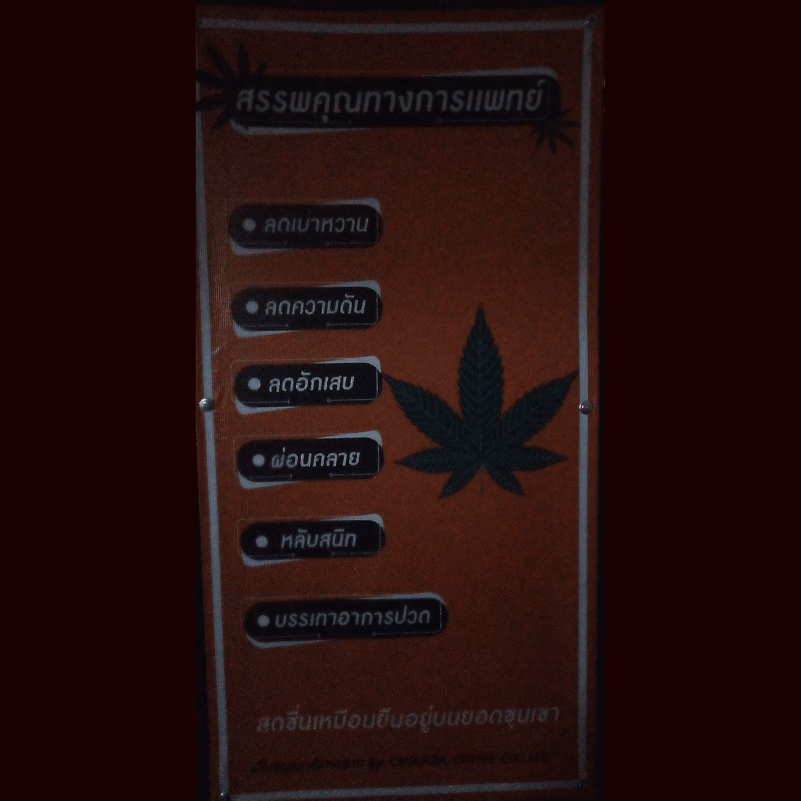Bangkok의 대마 소셜 클럽 Club 9839 로고