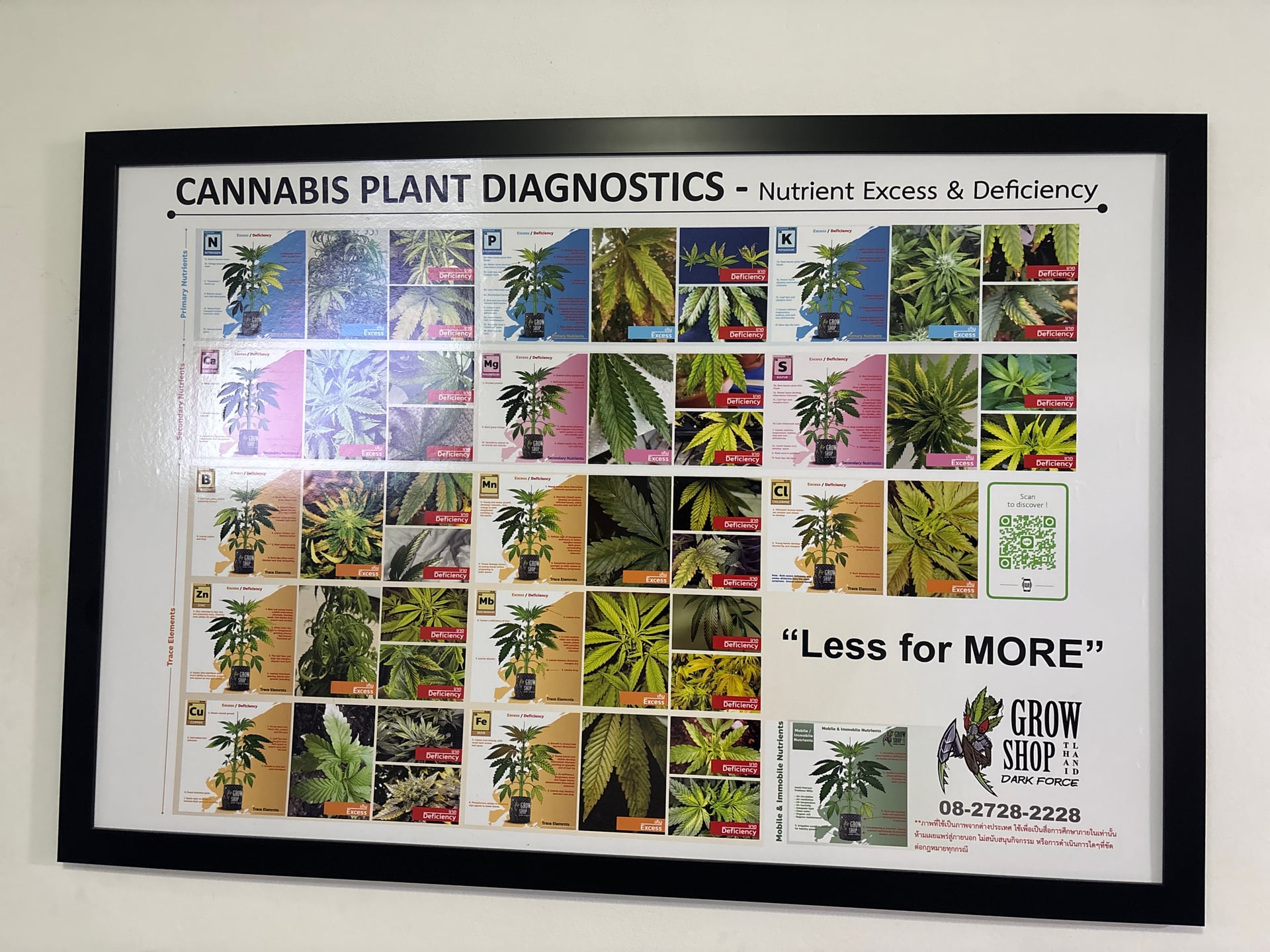 High Speed 420 Jomtien Weed Shop & Medical