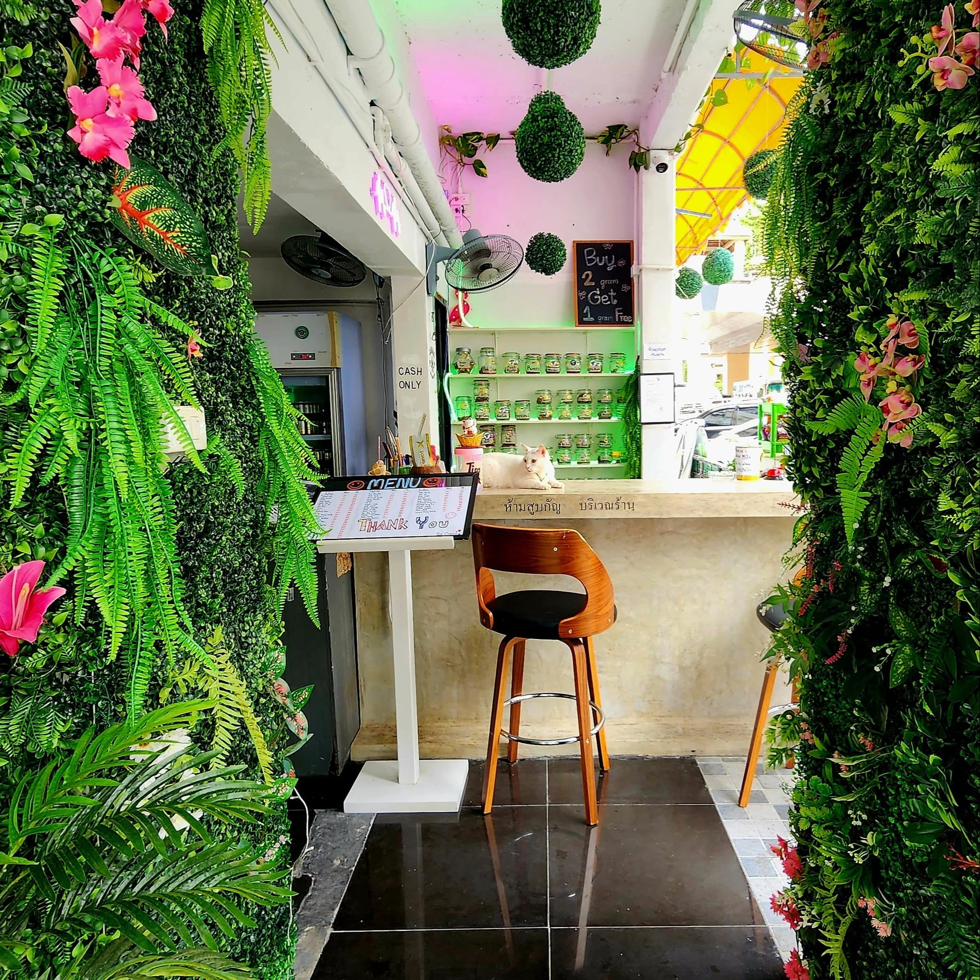 Phuket Cannabis Lounge