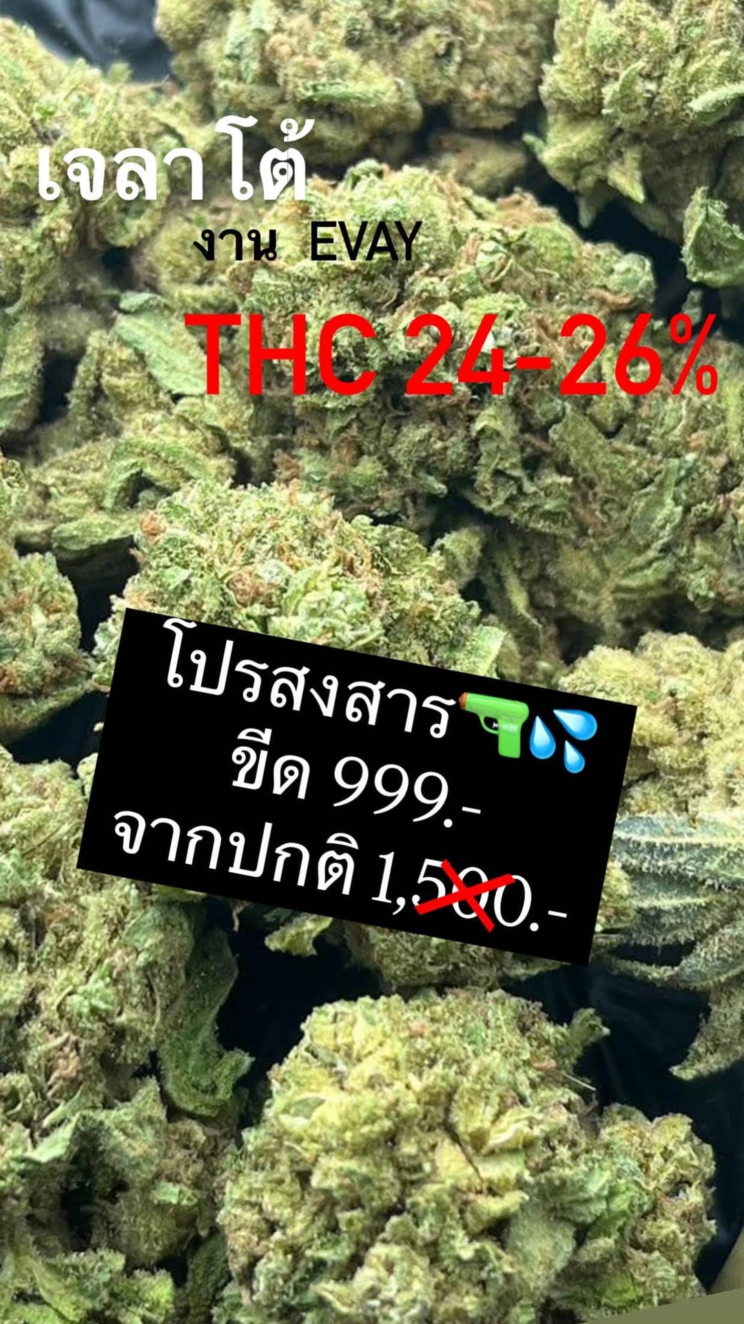 Og Weed 2 By