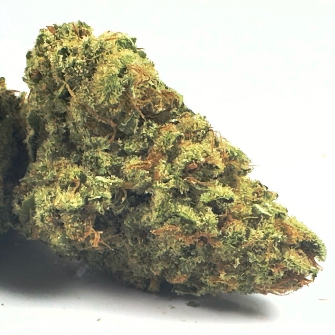 Ganjaland