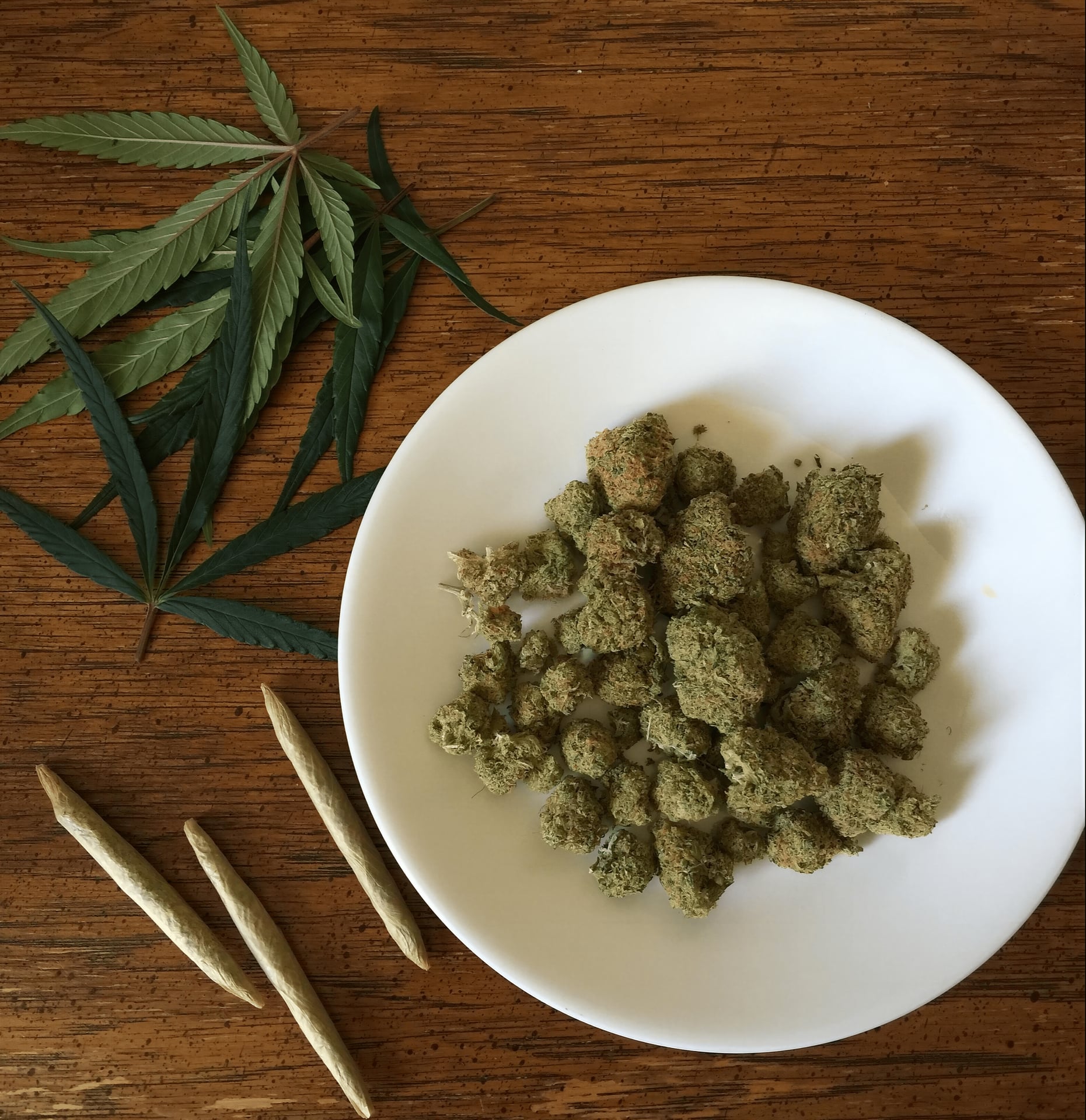 The Green Plug