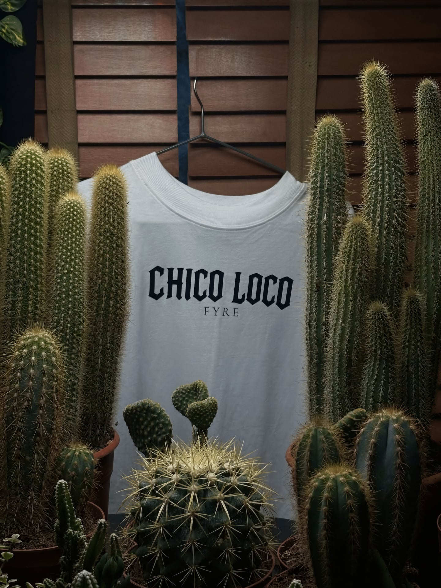 Chico Loco Lounge