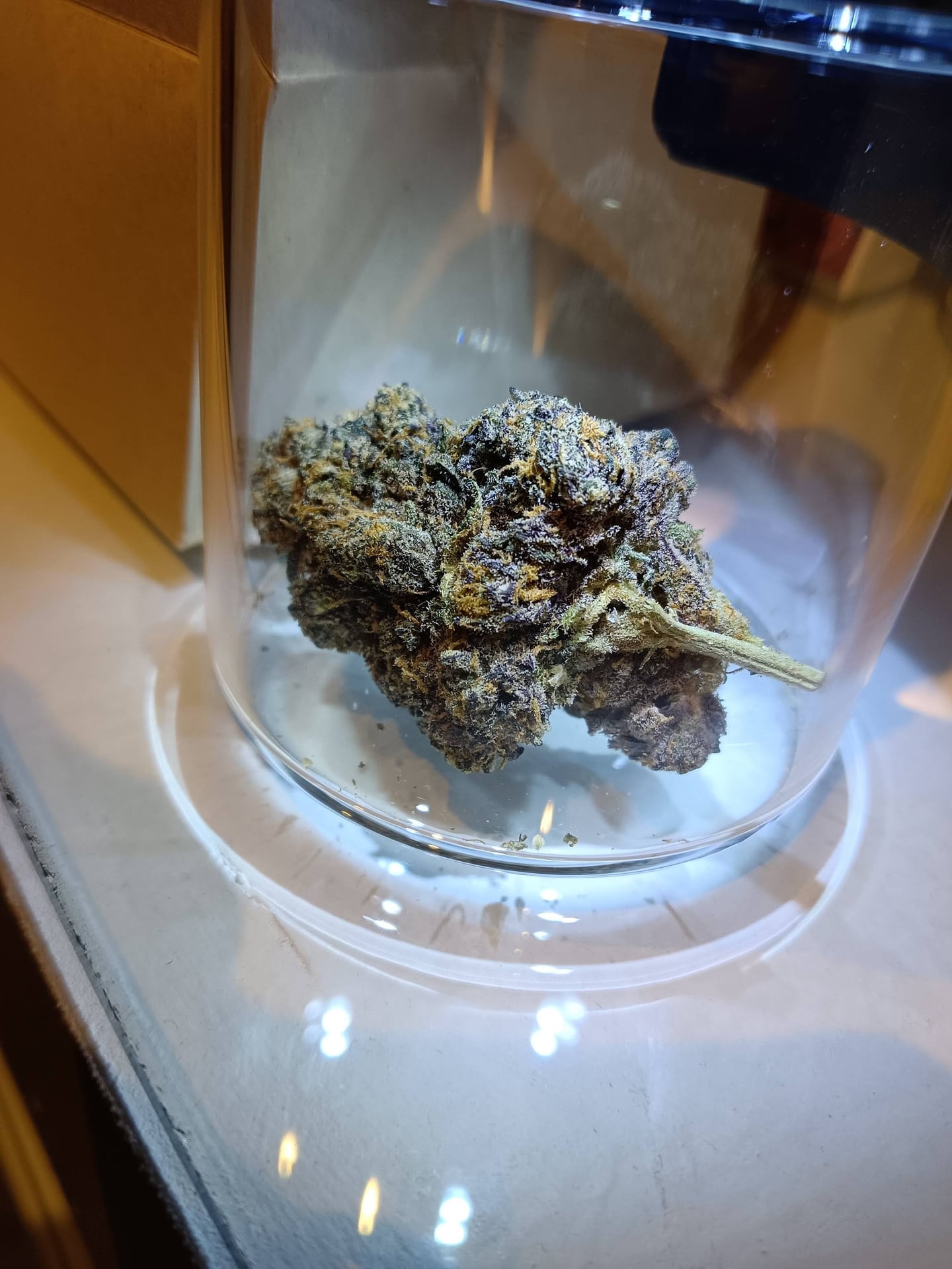 Rastafa420