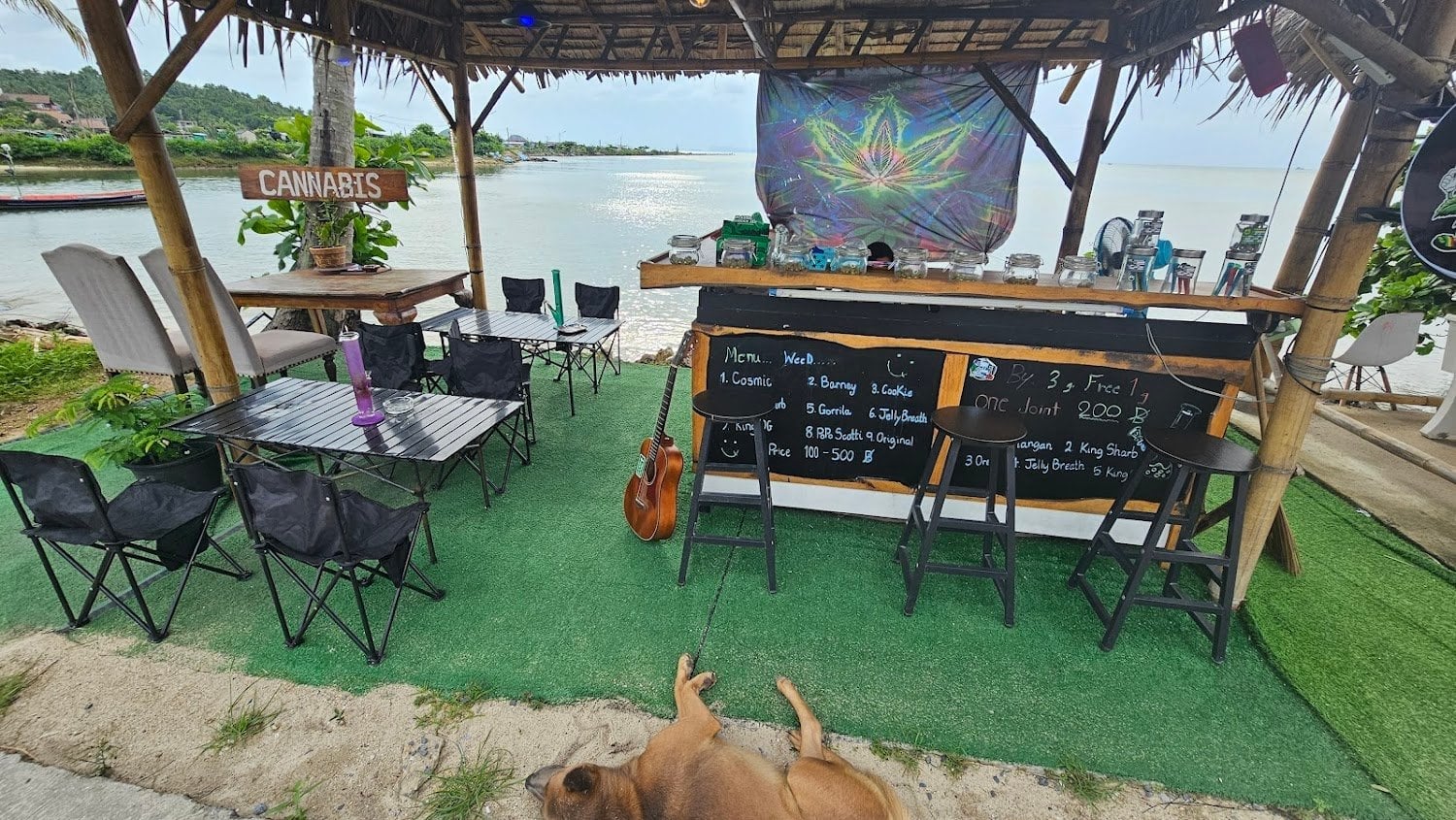 Bass & Wave Cannabis