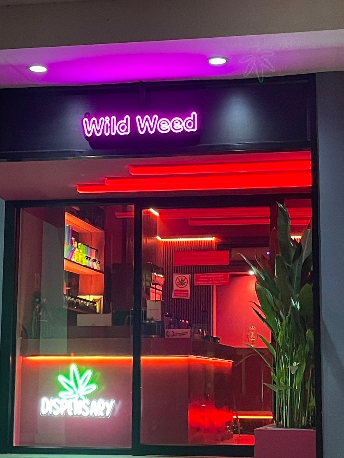 Wild Weed