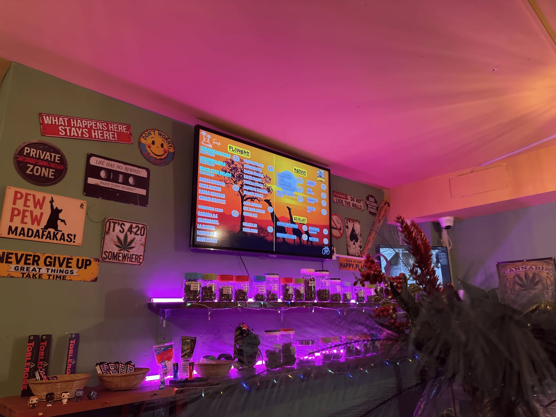 Savana Social Club