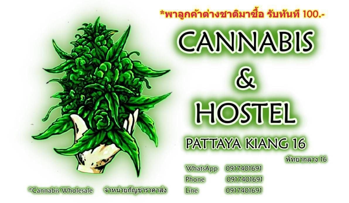Cannabis & Hostel