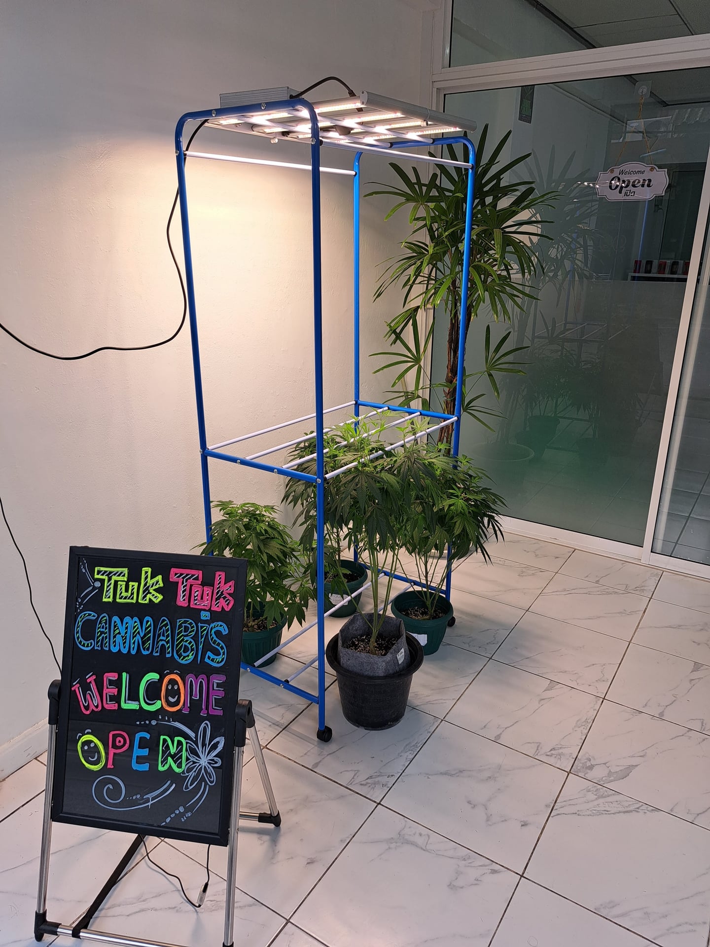 Tuk Tuk Cannabis