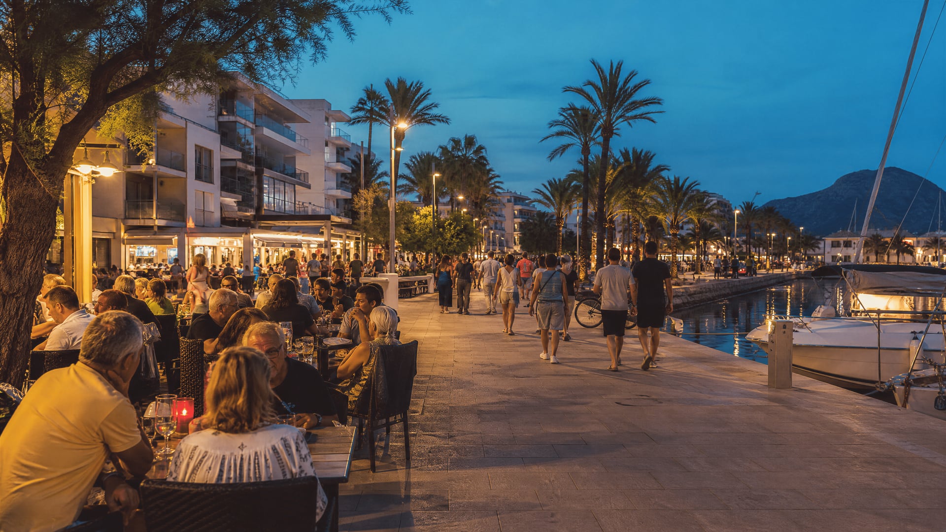 Evening marina walk in Puerto de Alcúdia with nightlife and cannabis club context
