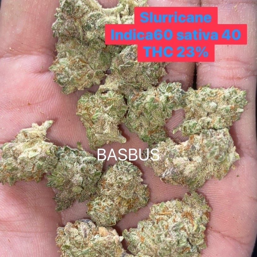 Cannabis Bg