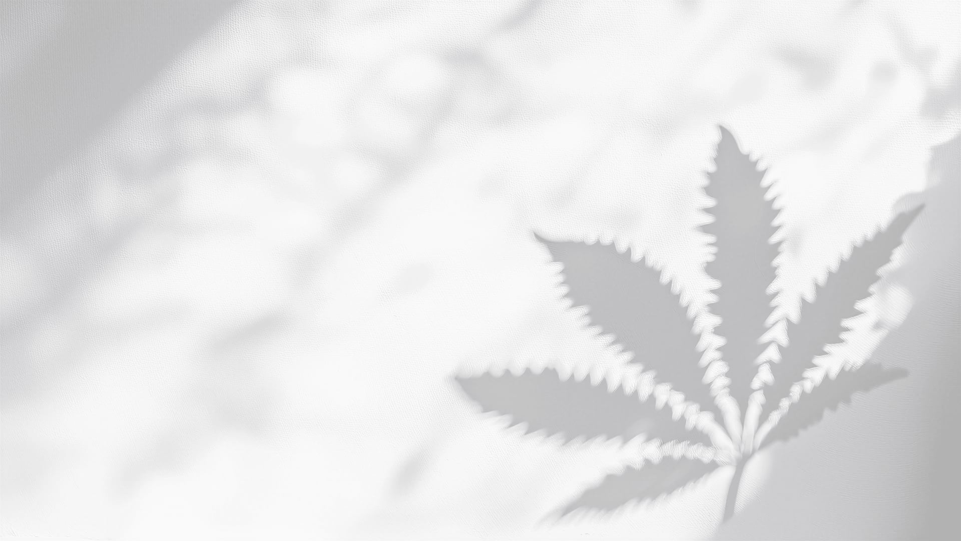 Lekker Leaf