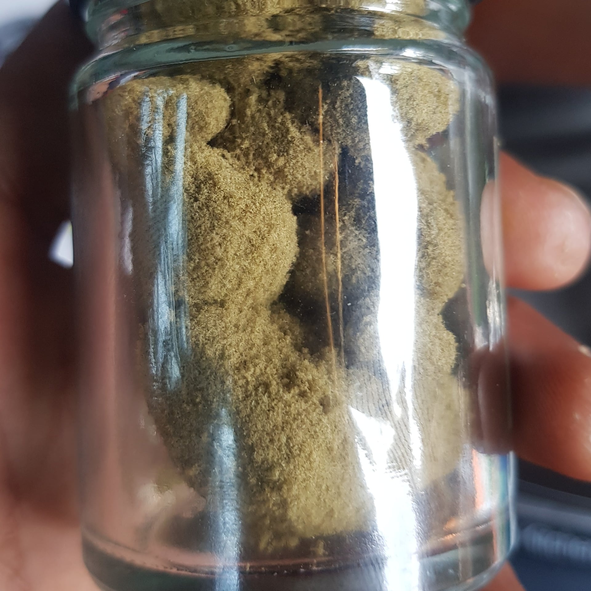 Wisdom Cannabis Farm
