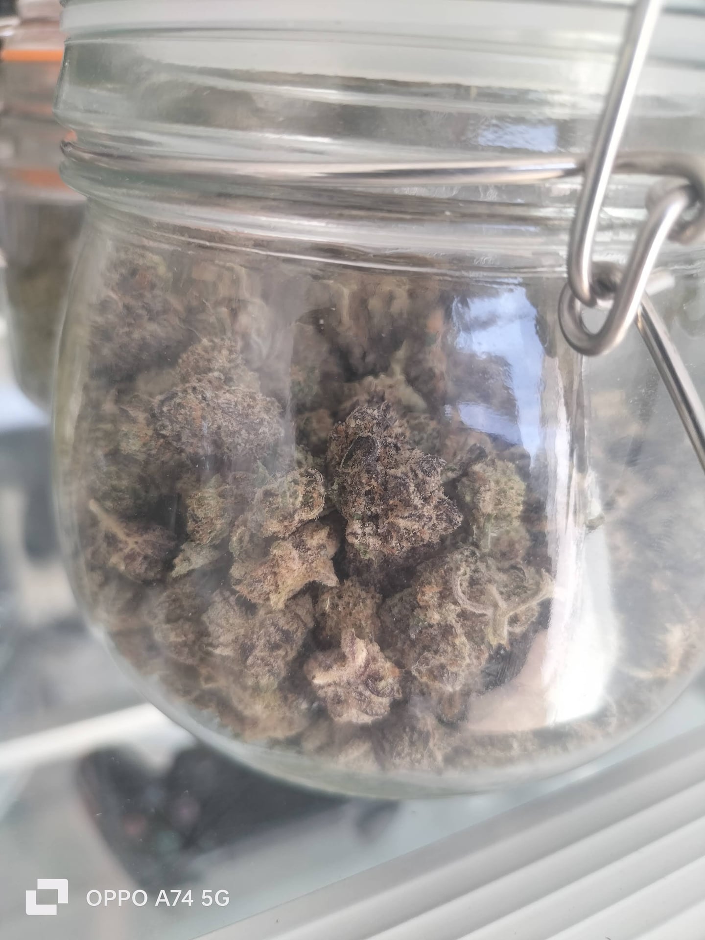 PN Cannabis