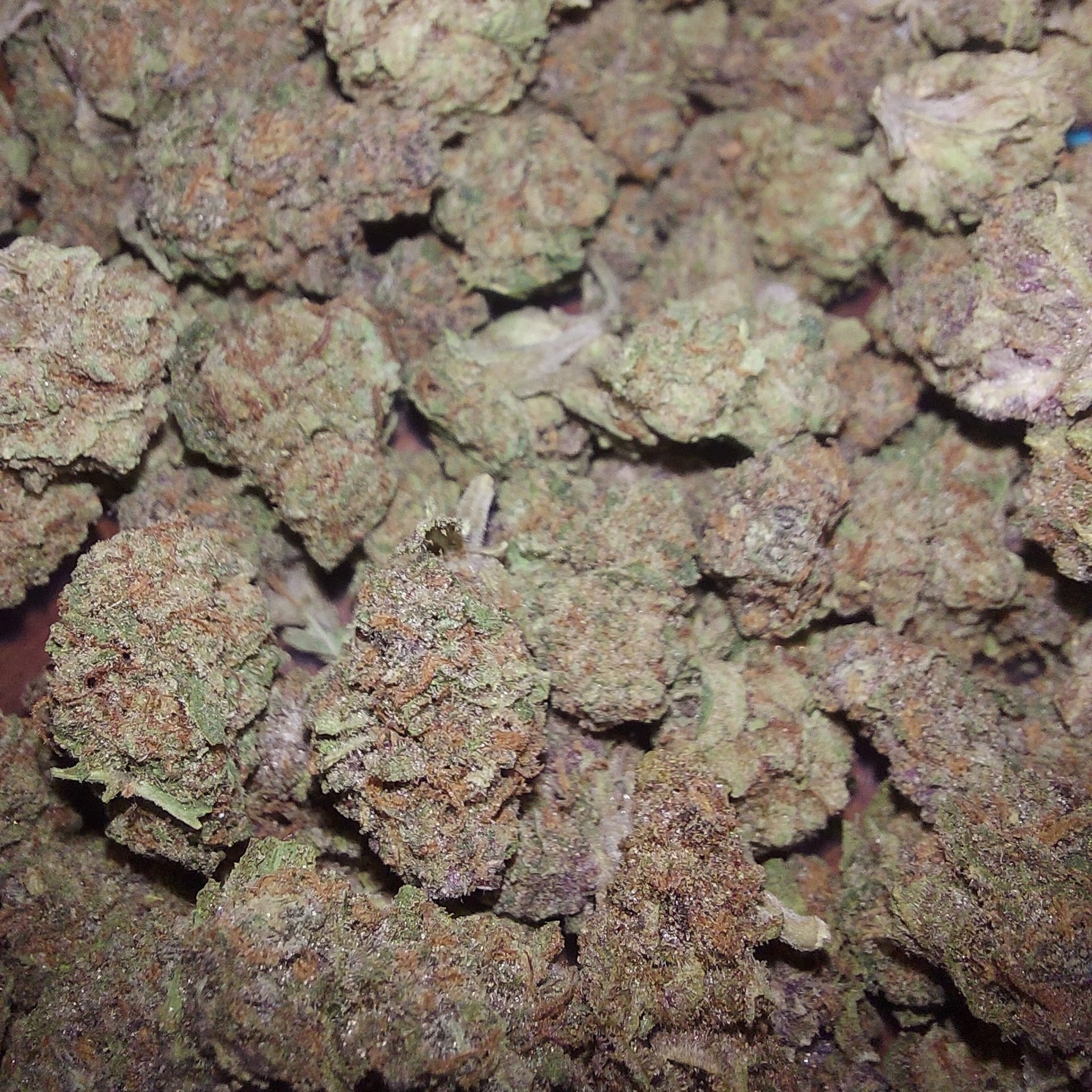 HalloWeeD420