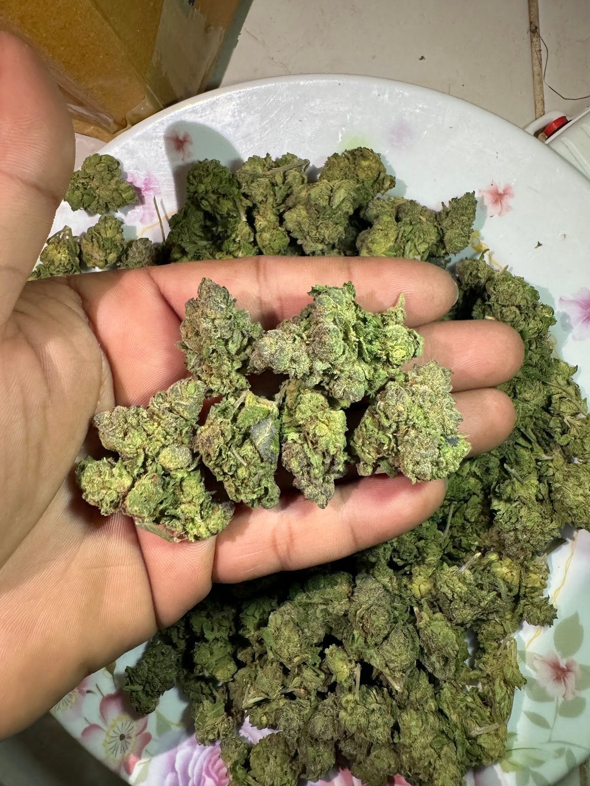 Zenleafshop2