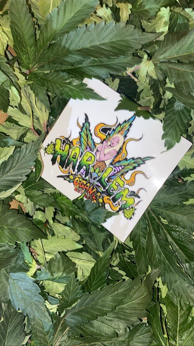 Harlem420cafe'