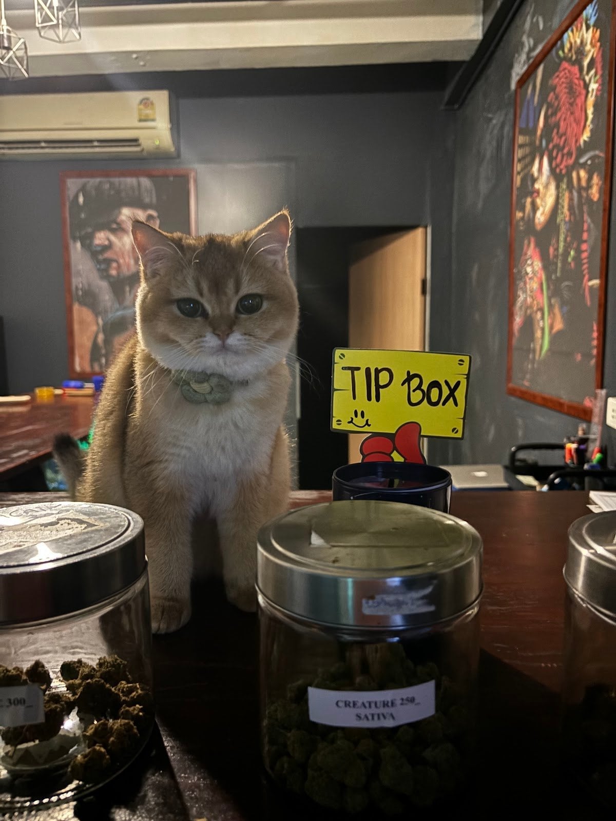 Flavours420