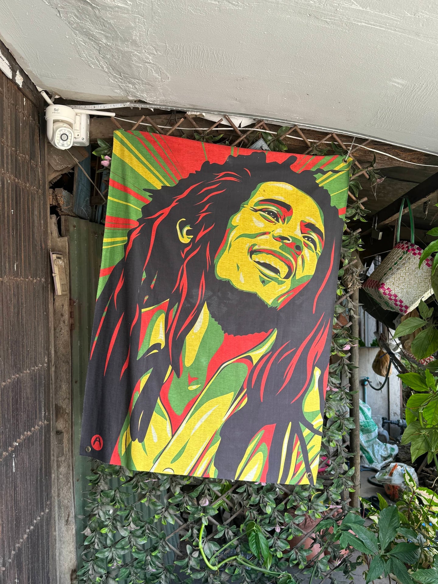AA Cannabis