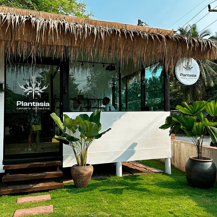 Plantasia Cannabis Weed Shop
