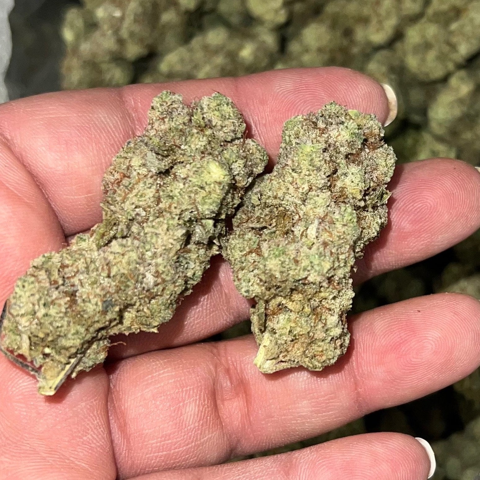 Sticky
