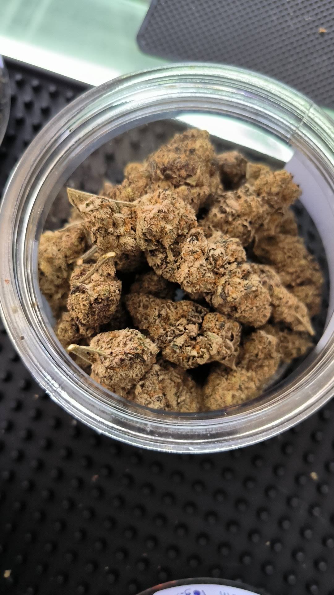 Malongweed