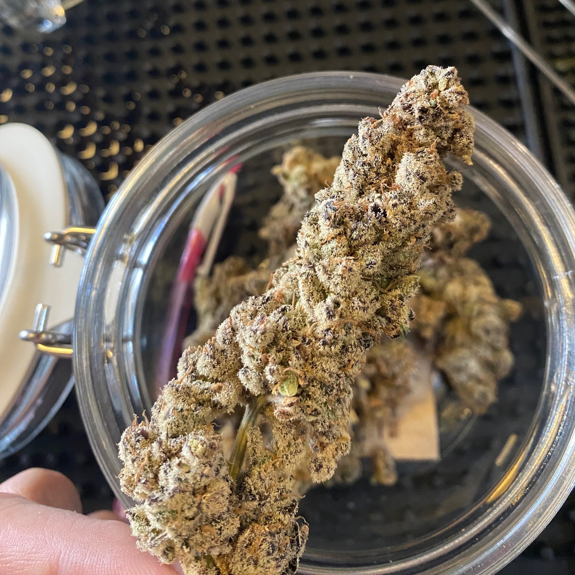 Just Weed