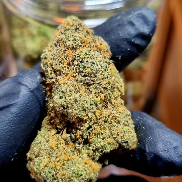Munchies Cannabis Store & Lamai Beach Delivery