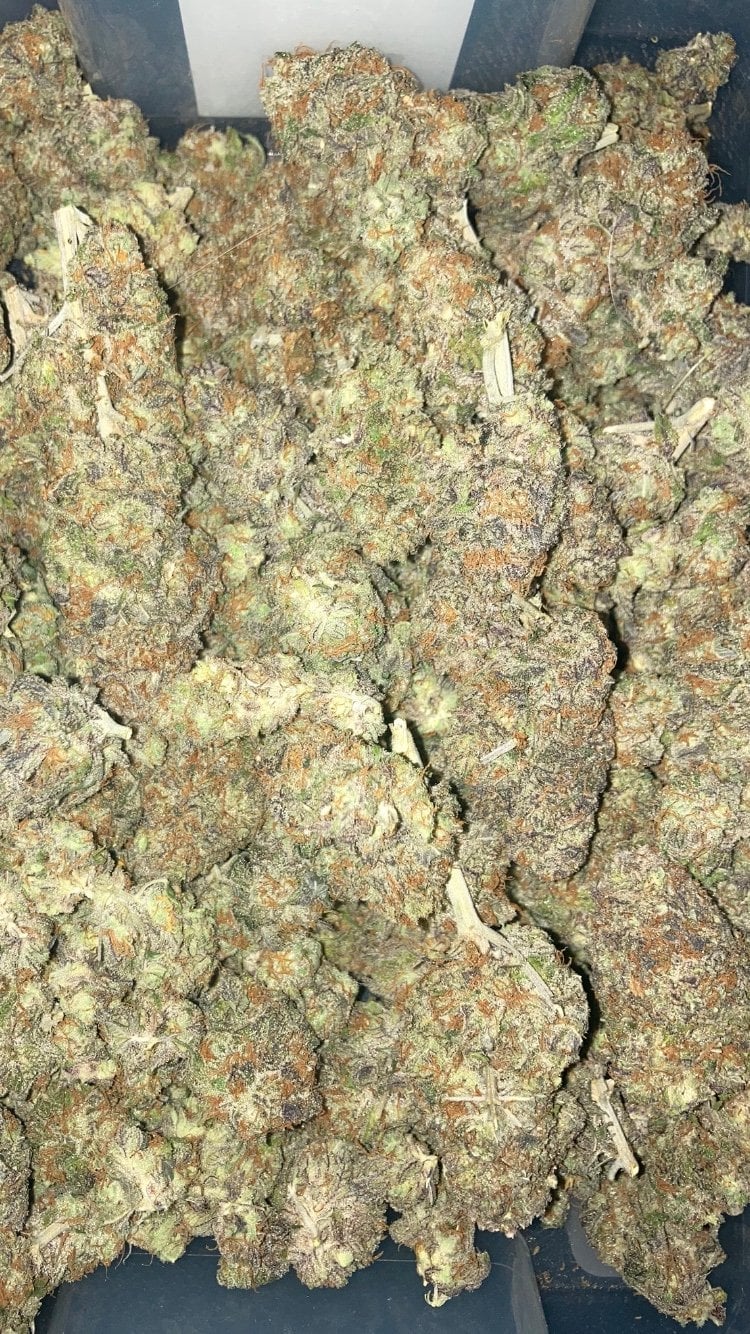Weed Connection