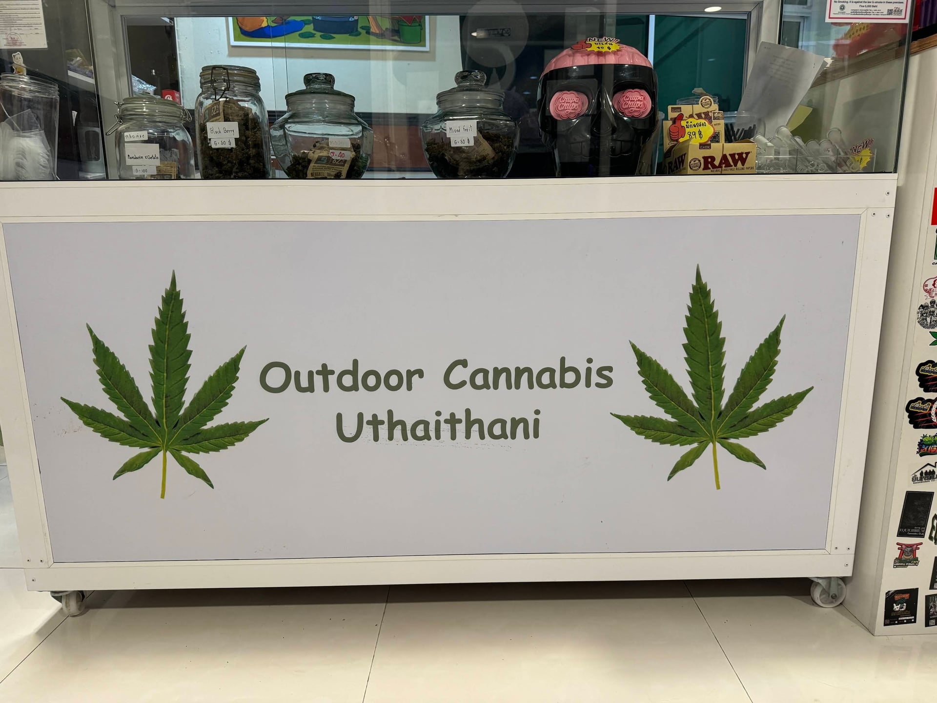 Outdoor Cannabis Uthaithani