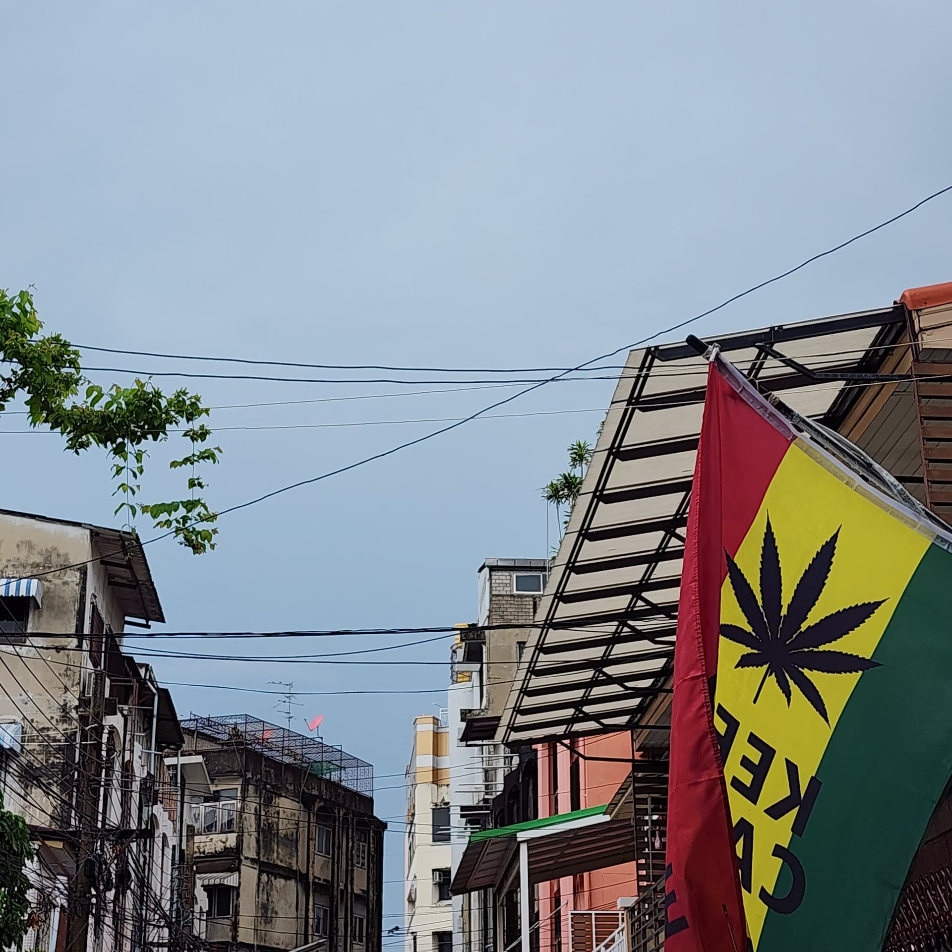 420Highandchic