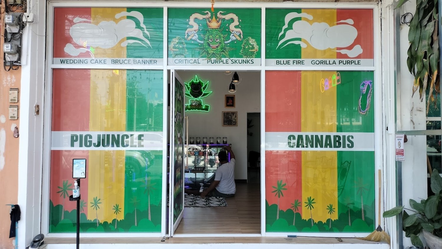 Pig Jungle Pakchong