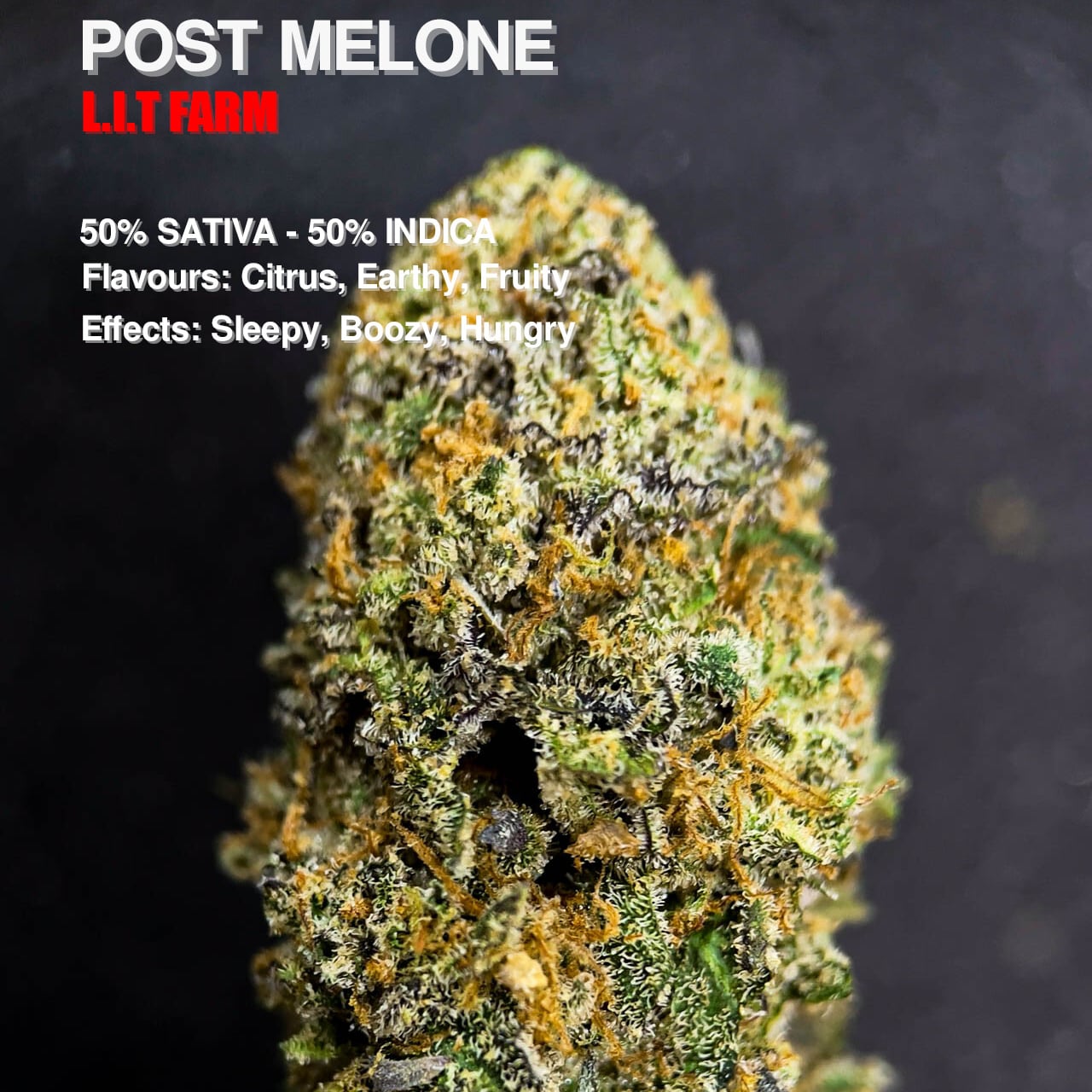 High-endz Exotics