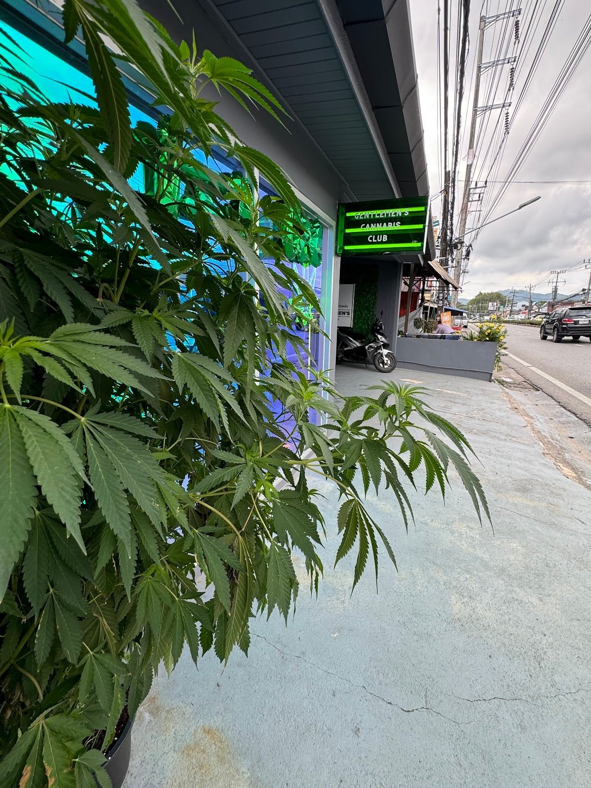 G2c Coffeeshop