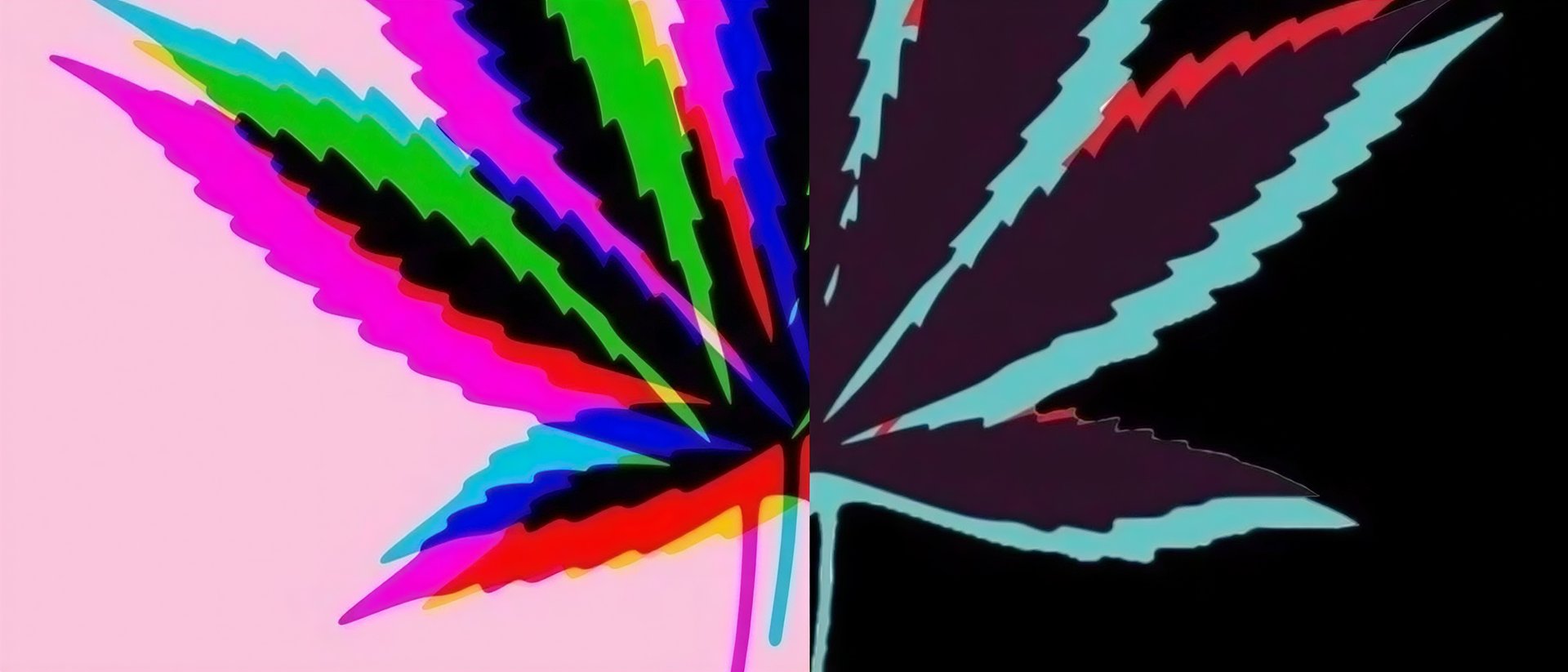 Ganja social club hero