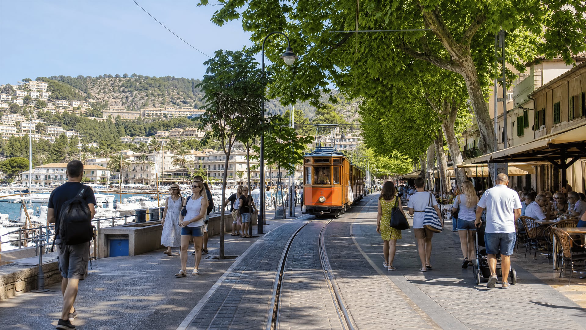 Linha do elétrico e passeio de Port de Sóller junto a bairros locais de clubes sociais de canábis