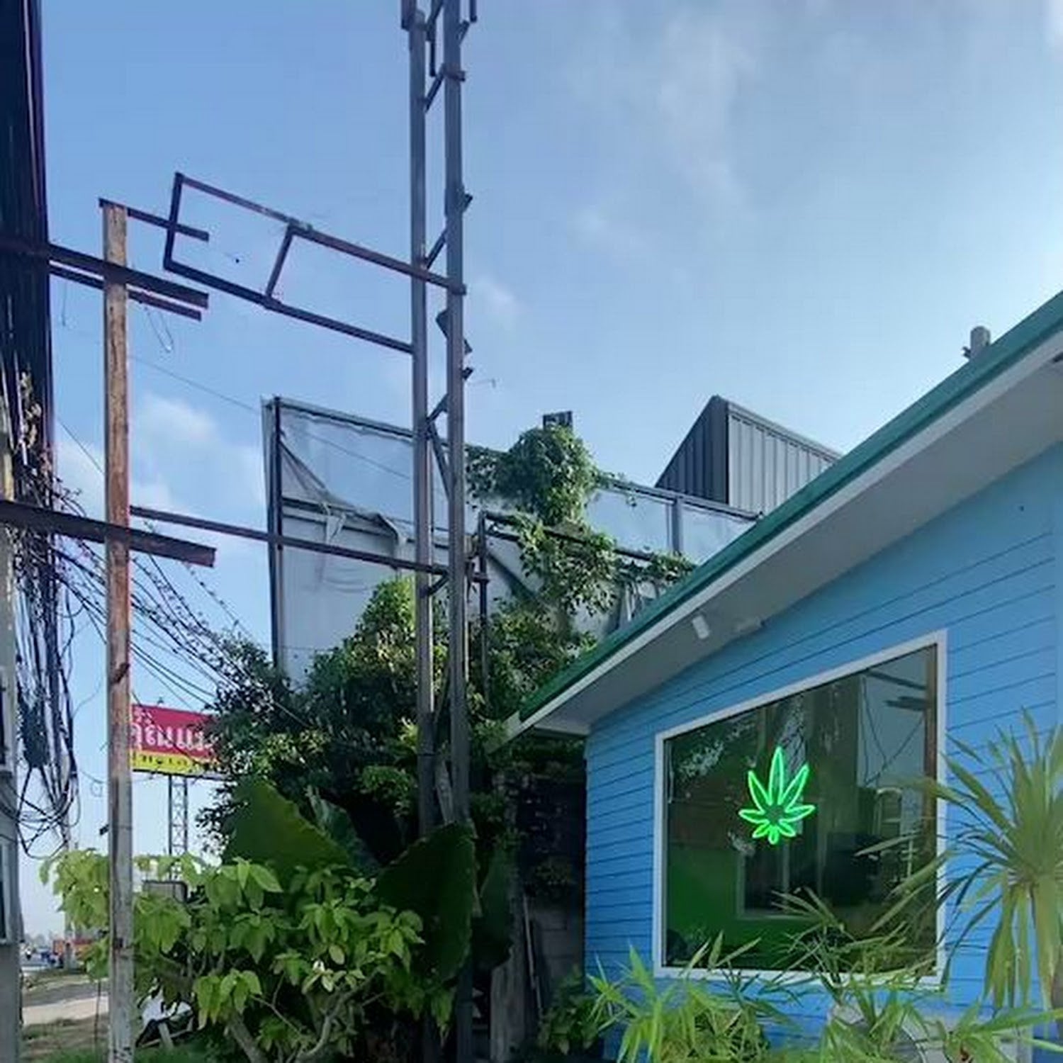 Buds House